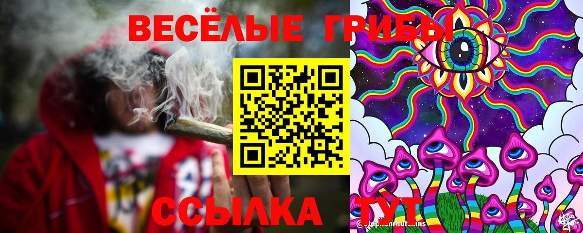 Псилоцибиновые грибы мухоморы Ишим
