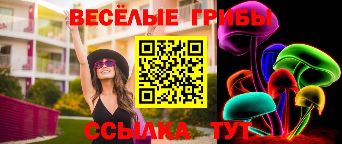 Псилоцибиновые грибы Cubensis  Вход с VPN  Ишим 